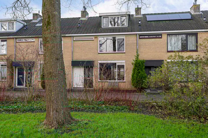 Graan voor Visch 15207 in Hoofddorp foto