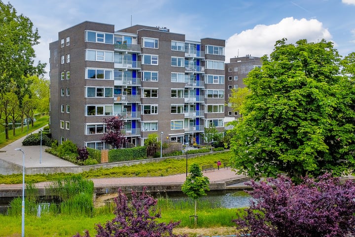 Graan voor Visch 16103 in Hoofddorp foto