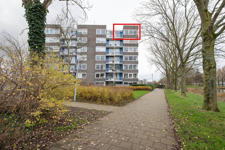 Graan voor Visch 16164 in Hoofddorp foto