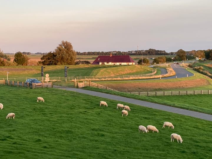 Foto van woning Grândyk 9, Holwert