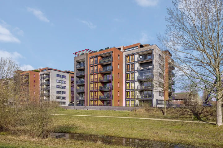 Grasbaan 120 in Eindhoven foto
