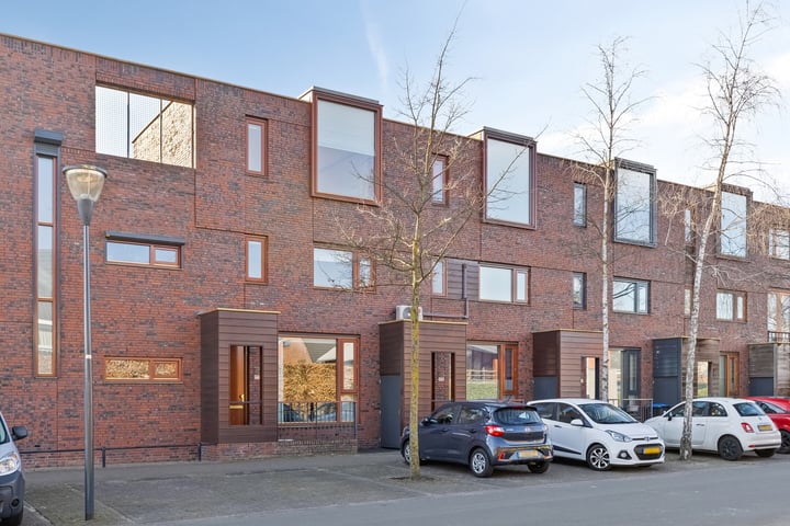 Grasbloem 11 in Eindhoven foto