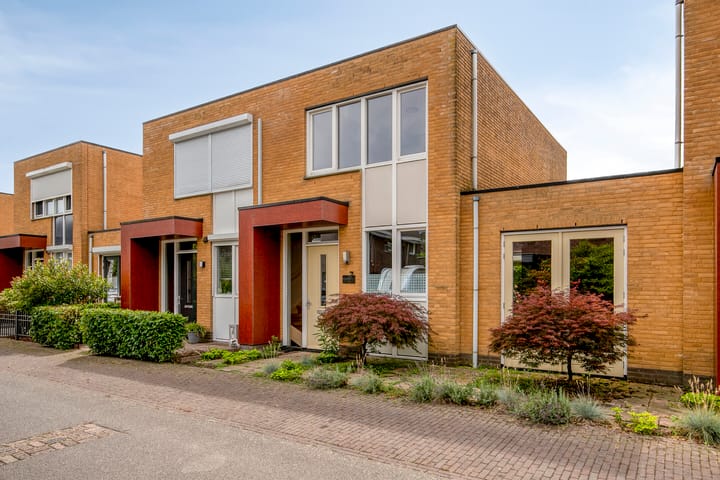 Grasfonteinkruid 7 in Eindhoven foto