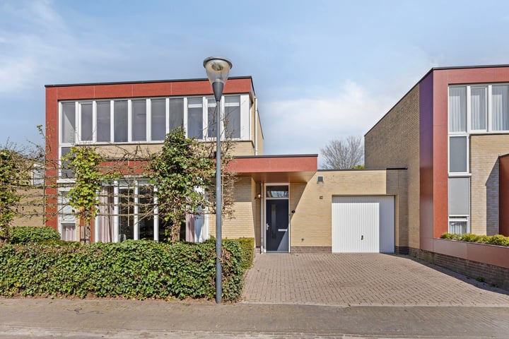 Graskers 7 in Eindhoven foto