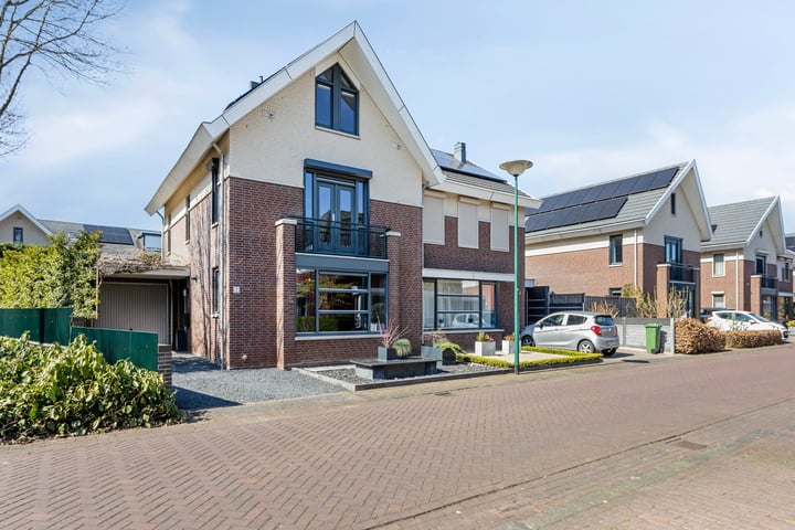 Grasklokje 2 in Boxmeer foto