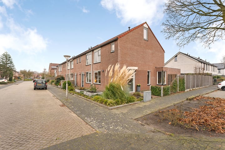 Grasklokje 2 in Hardenberg foto