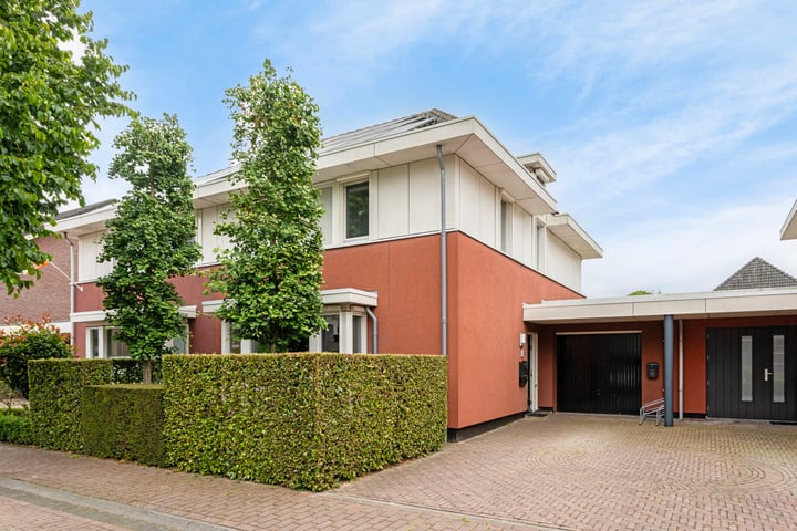 Grasklokje 5 in Boxmeer foto