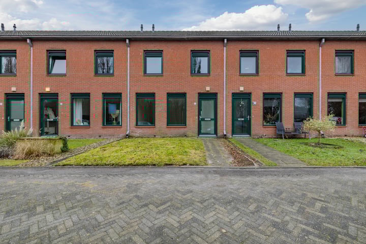 Grasland 36 in Drachten foto