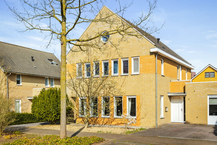 Grasleeuwerik 5 in Eindhoven foto