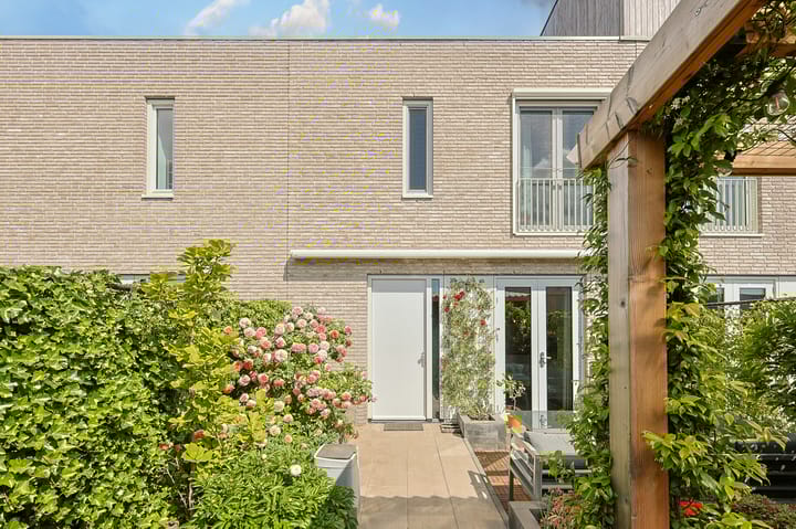 Graslook 22 in Eindhoven foto