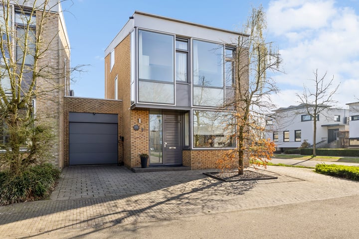 Grasperk 2 in Eindhoven foto