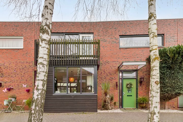 Graspieper 63 in Eindhoven foto