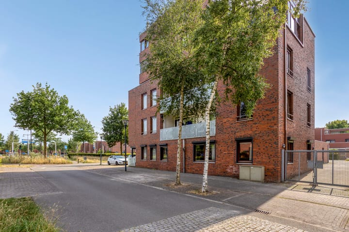 Graspieper 9 in Eindhoven foto