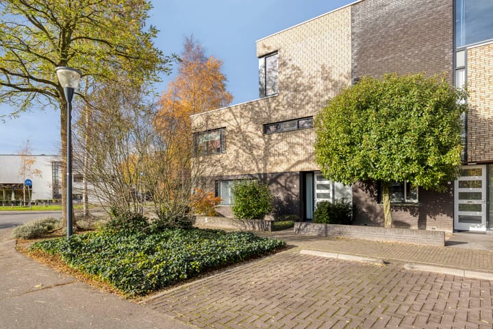 Grassteppe 2 in Eindhoven