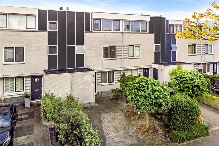 Grauwe Gans 16 in Uithoorn foto