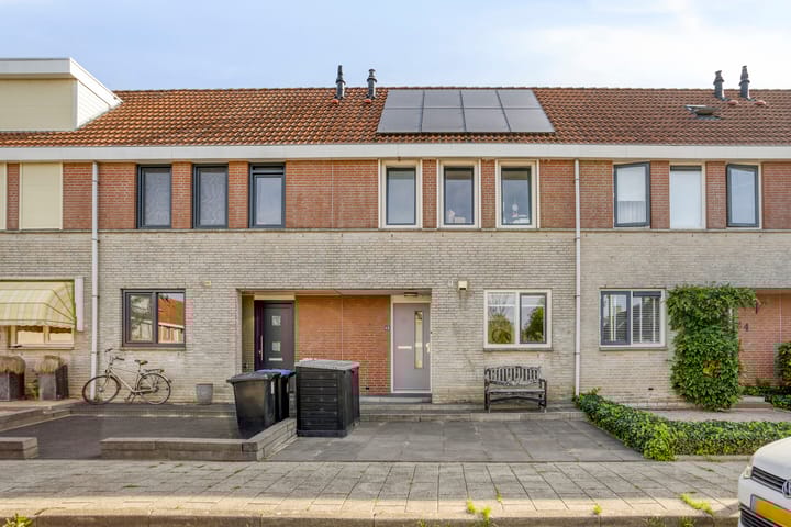 Grauwe Gans 46 in Bergen op Zoom foto