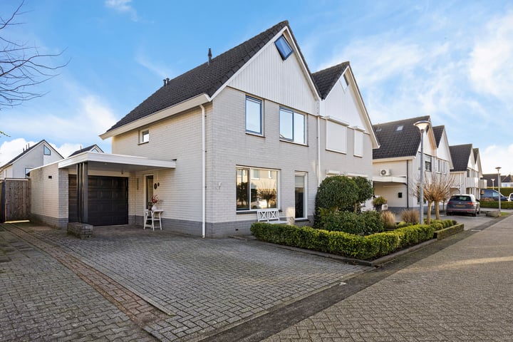 Grauwe Gans 7 in Emmen foto