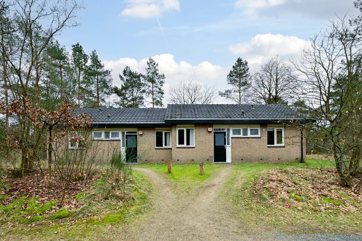 Grevenhout 21-311 in Uddel foto