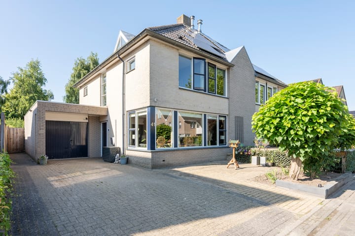 Grijze Snip 41 in Emmen foto