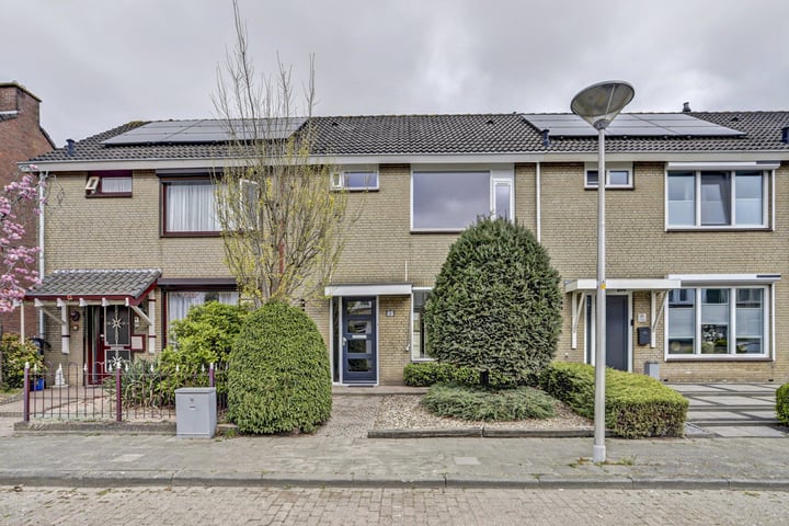 Grimbergen 23 in Steenbergen