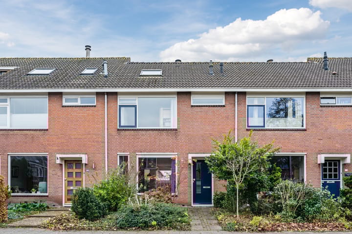 Groene Ree 39 in Bodegraven