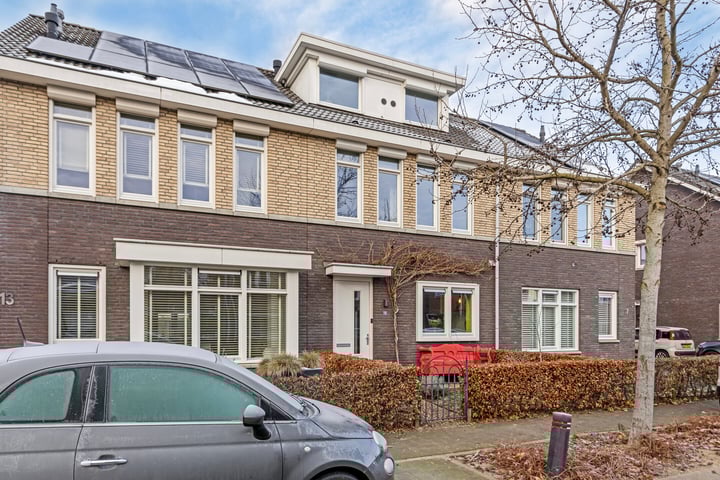 Groene Specht 15 in Eijsden foto