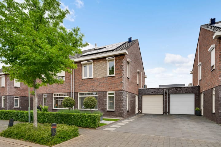 Groene Specht 6 in Eijsden foto