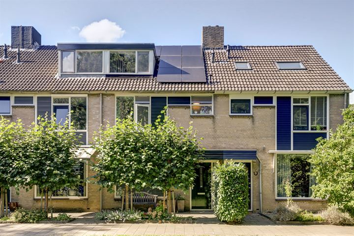 Groenestein 2 in Zwijndrecht foto