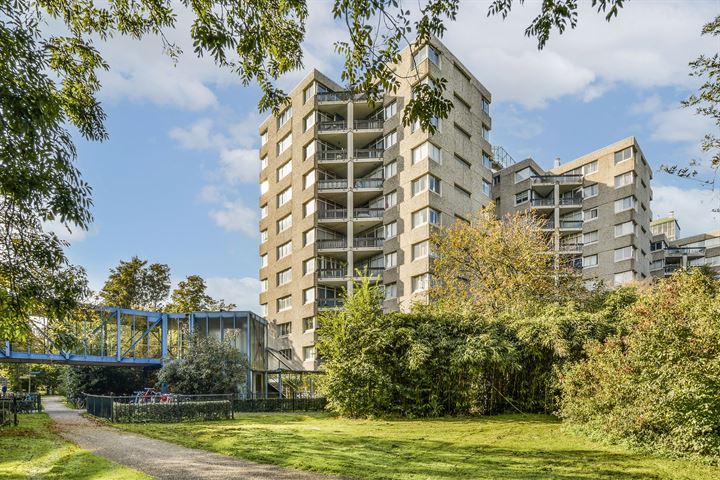 Groenhoven 359 in Amsterdam foto