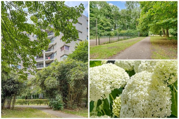 Foto van woning Groenhoven 449, Amsterdam