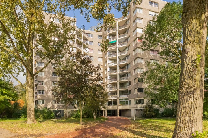 Groenhoven 608 in Amsterdam foto