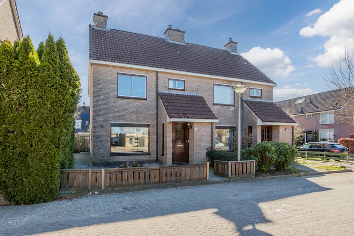 Groenling 27 in Ommen foto