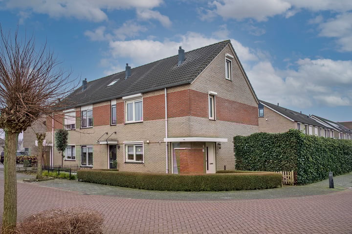 Groenling 29 in Rijssen foto