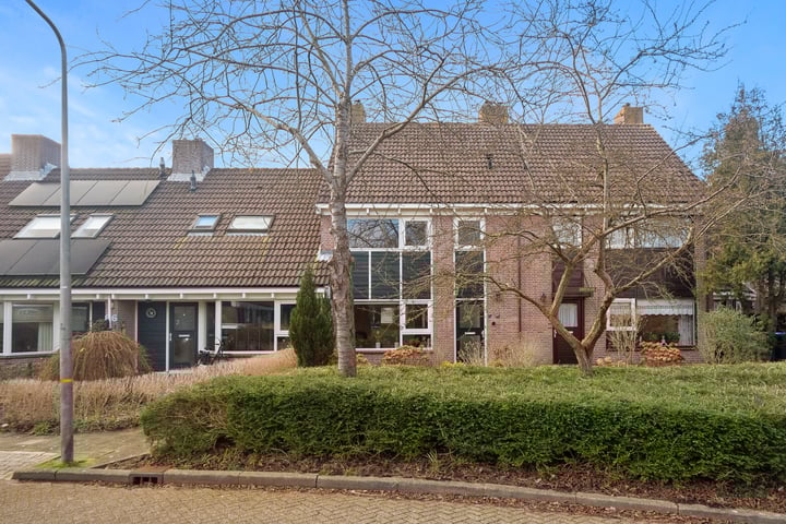 Groenling 4 in Schagen foto