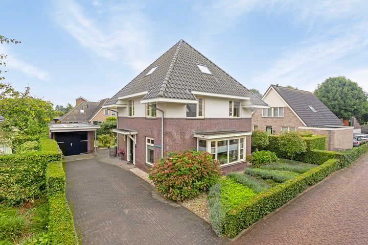 Groenling 4 in Olst foto