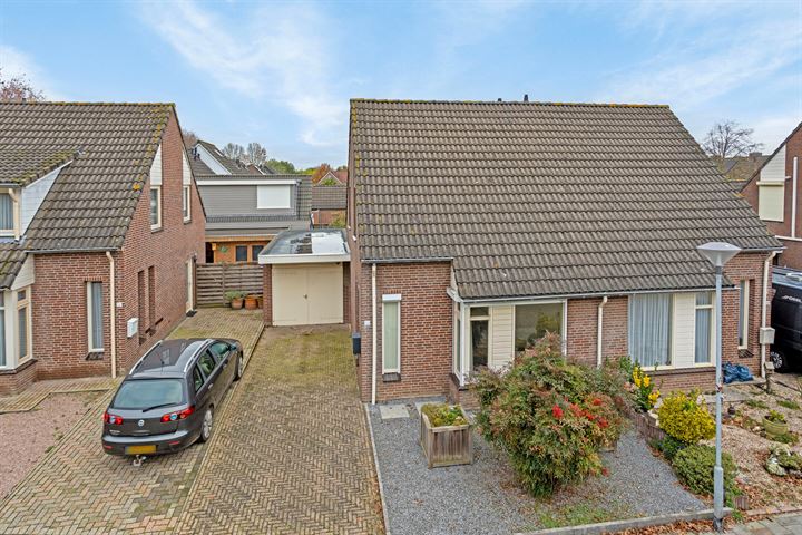 Groenling 50 in Boxmeer foto