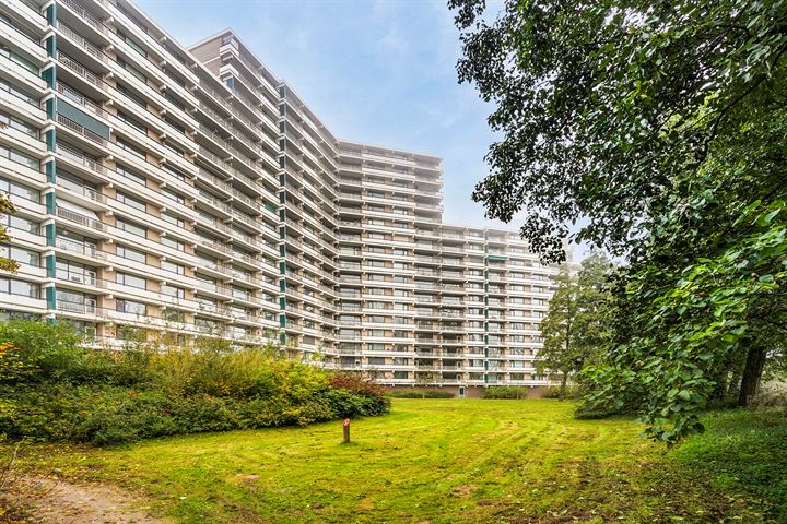 Groningensingel 677 in Arnhem foto