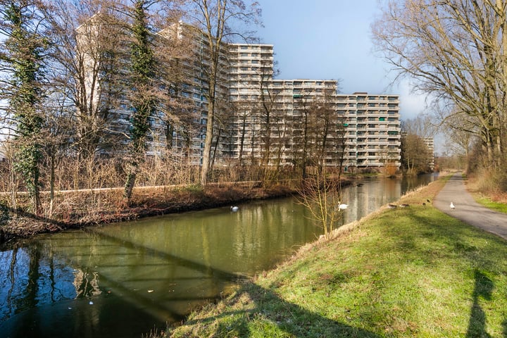Groningensingel 913 in Arnhem foto