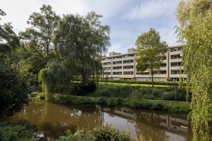 Groot Paradijs 97 in Eindhoven foto
