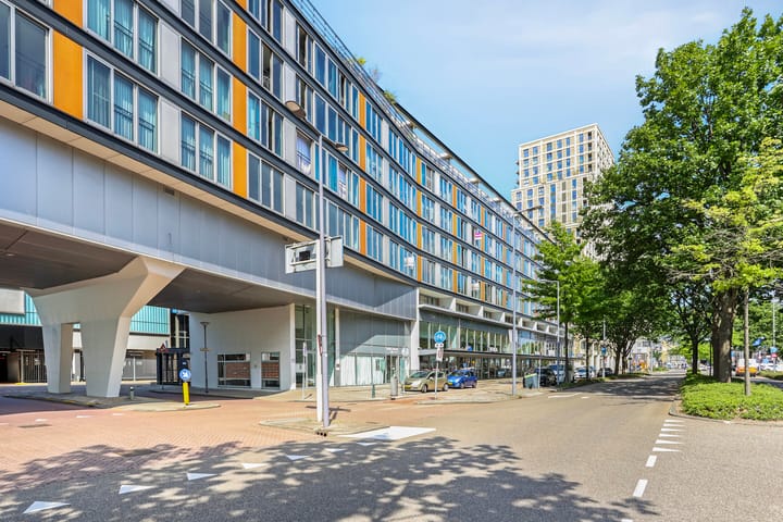 Grote Beer 127 in Rotterdam foto