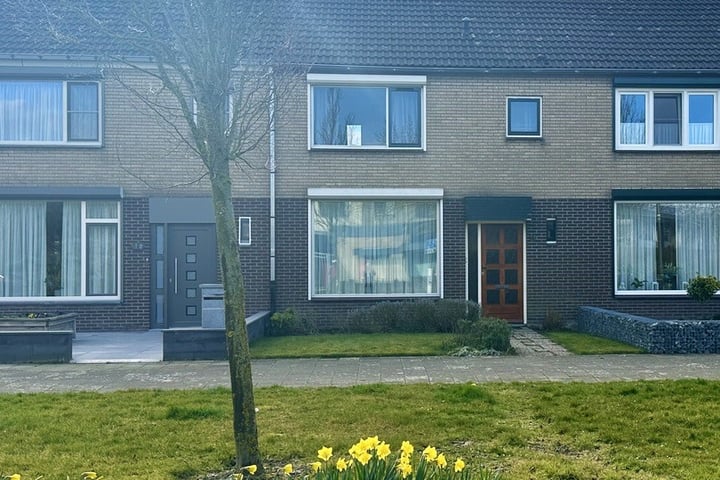 Grote Beer 14 in Oostburg foto