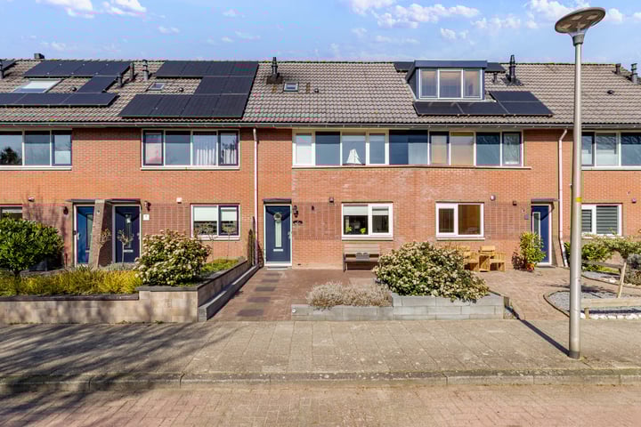Grote Beer 40 in Zeewolde foto