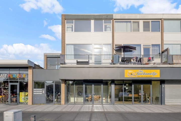 Grote Beer 9 in Hoogeveen