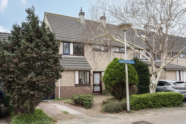 Grote Boterbloem 91 in Velserbroek foto