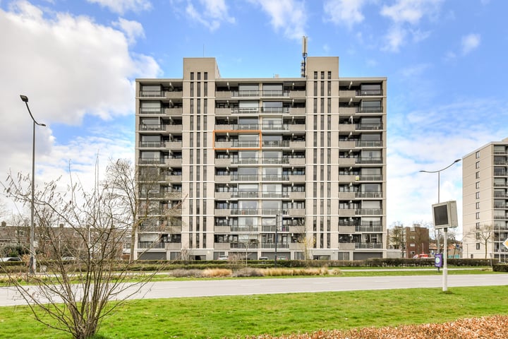 Grote Spie 263 in Breda foto