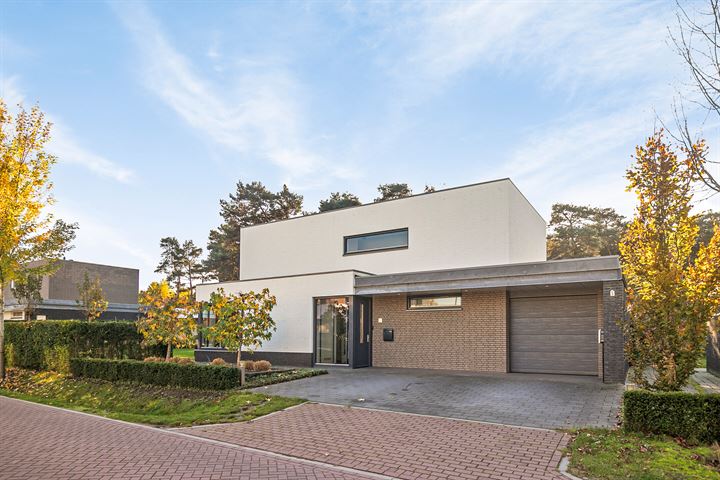 Grutto 7 in Venray foto