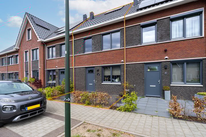 Gulderling 5 in Andel foto