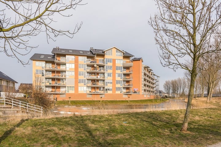 Gustav Vasaborg 58 in Schiedam foto