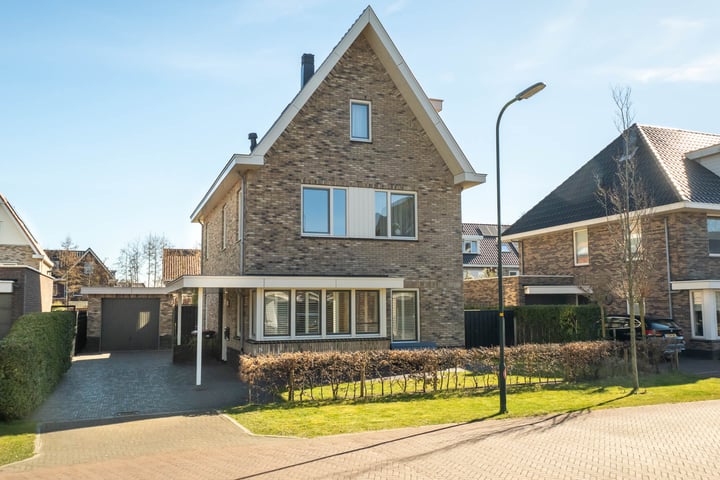 Haagbeuk 42 in Heiloo foto