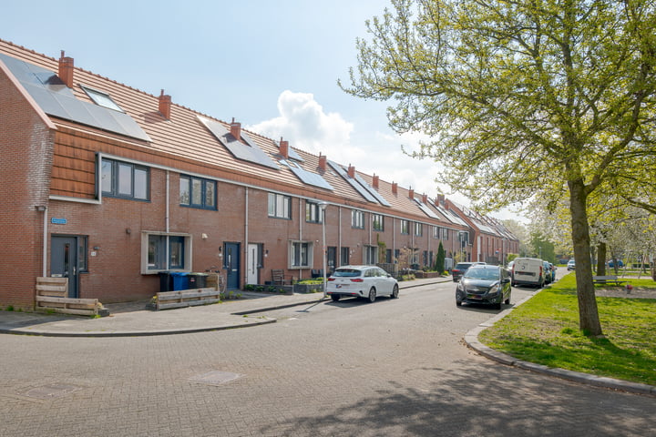 Haakmos 50 in Zwolle foto